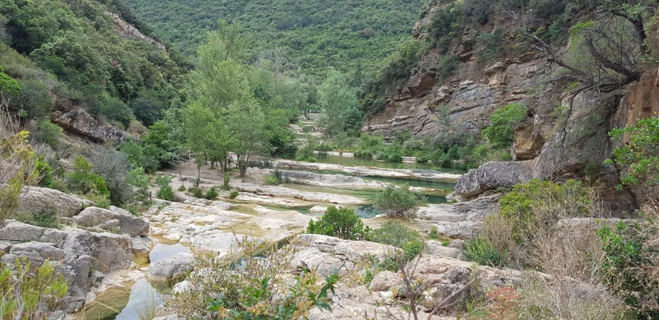 Les Chalets Du Relais D'Aguilar Tuchan Exterior foto